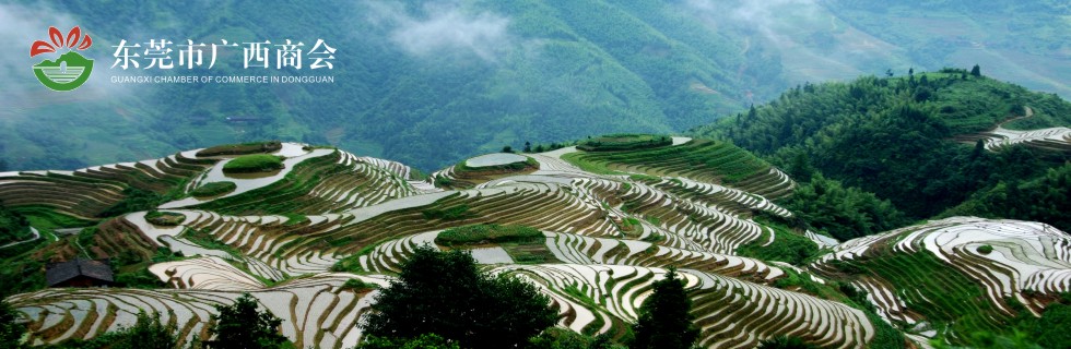 近现代岭南（两广）文化的结构特质及历史地位