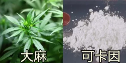 当“六一”遇上《禁毒法》，这个特殊的日子，请一定要知悉！